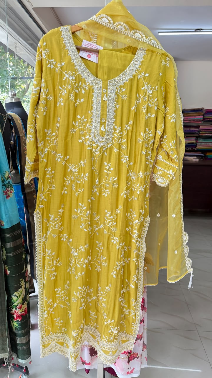 Handloom Silk Sarees at Fascino Boutique